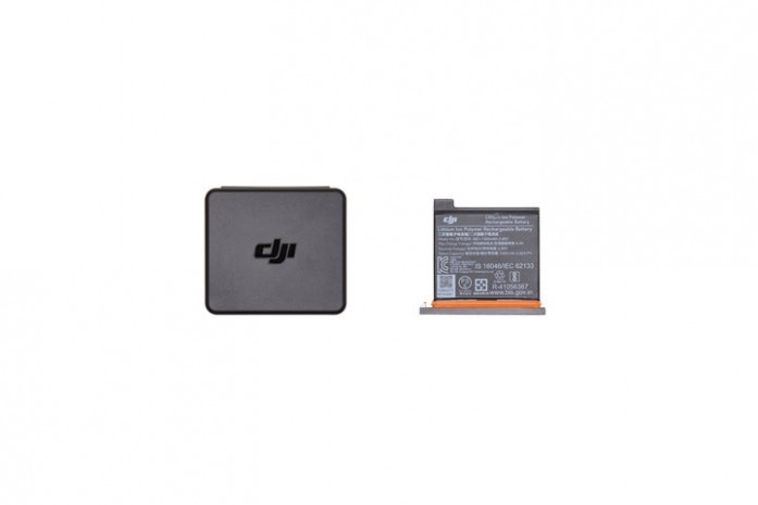 DJI 오즈모 액션 배터리